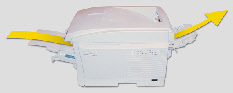wp6cdb4582_0f.jpg