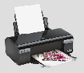 wpa132cdab_0f.jpg